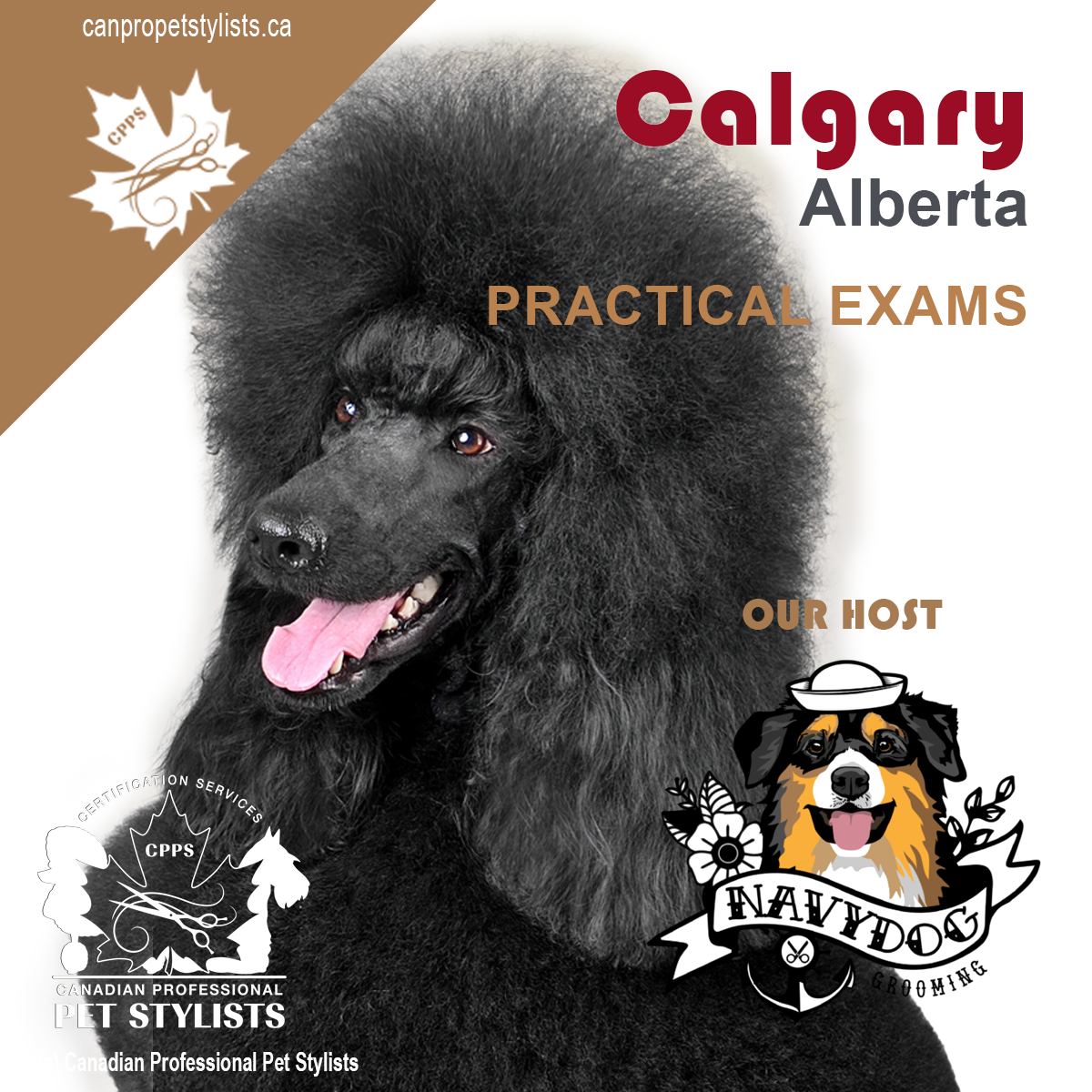 CALGARY, AB JUNE 14 PRACTICAL EXAMS