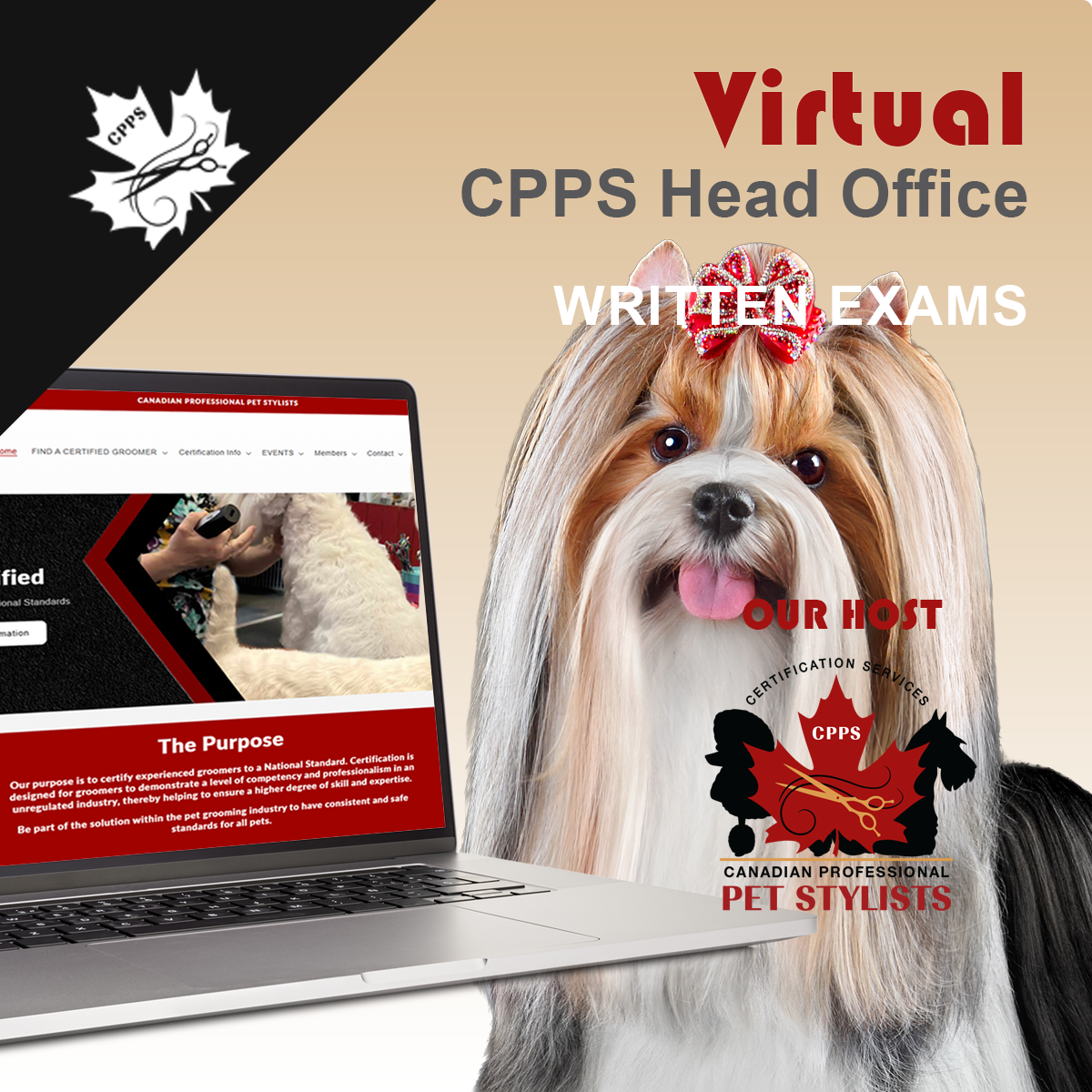 VIRTUAL DEC 21 WRITTEN EXAMS ONLY