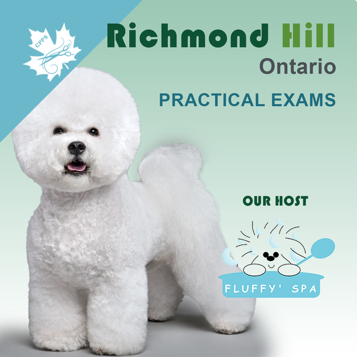 RICHMOND HILL, ON NOV 16 PRACTICAL EXAMS
