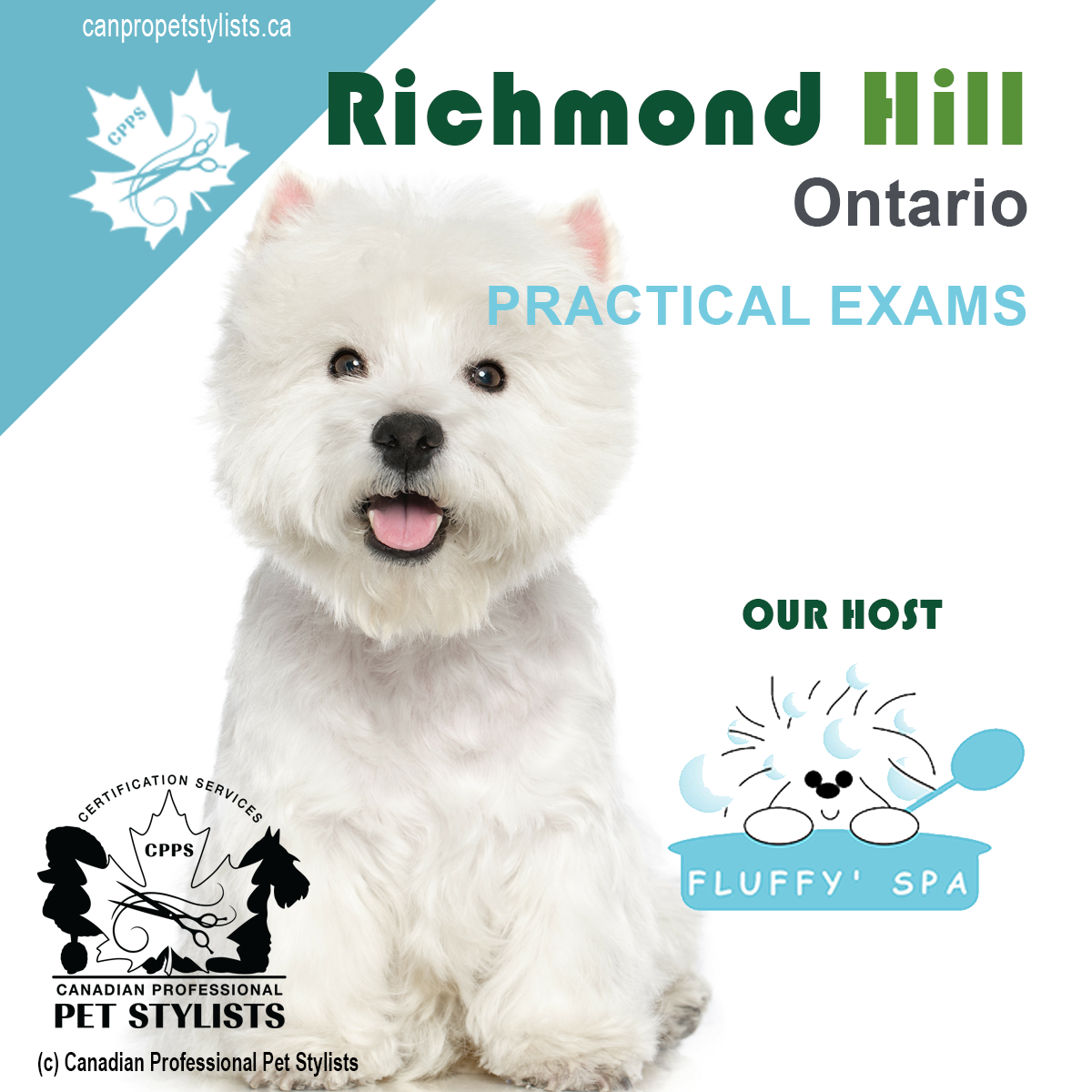 RICHMOND HILL, ON JULY 5 PRACTICAL EXAMS