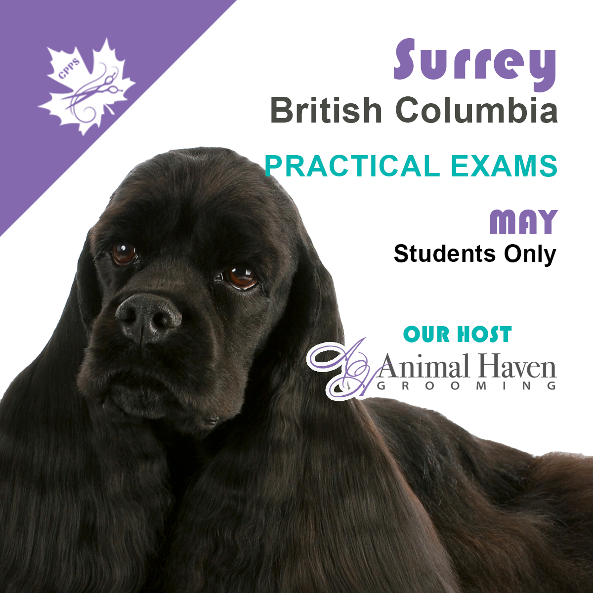 SURREY, BC TBA MAY Dates PRACTICAL EXAMS