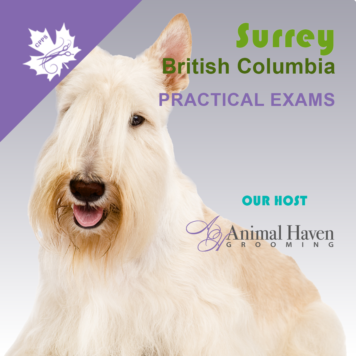SURREY, BC TBA Dates PRACTICAL EXAMS