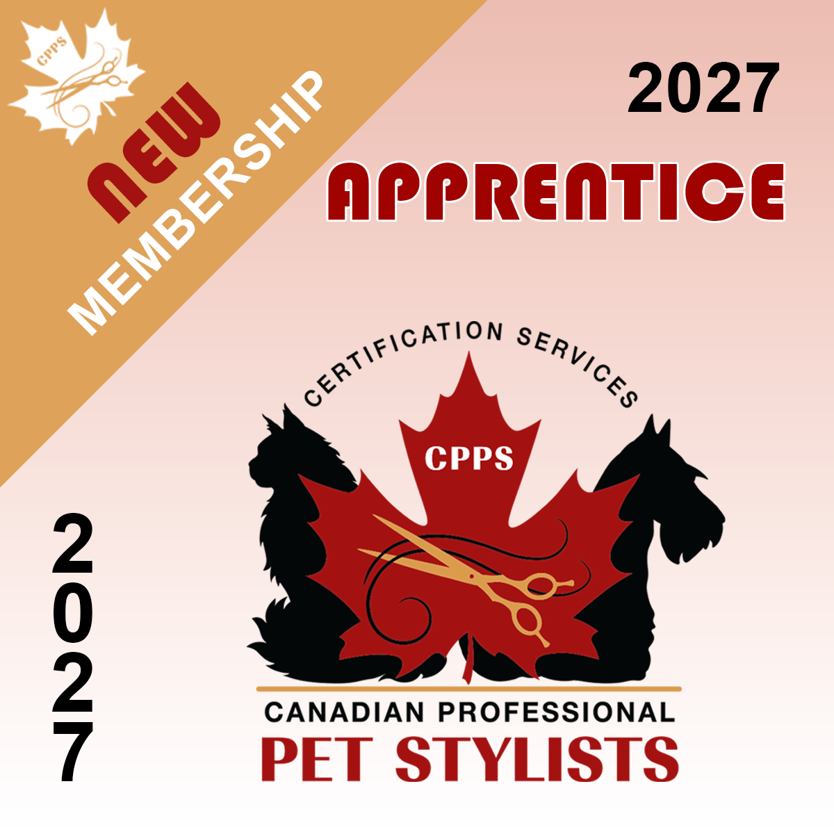 NEW Membership 2027 (Apprentice)