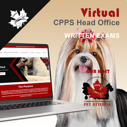 VIRTUAL  DEC 21 WRITTEN EXAMS ONLY