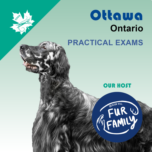 OTTAWA, ON   FEB 22 PRACTICAL EXAMS