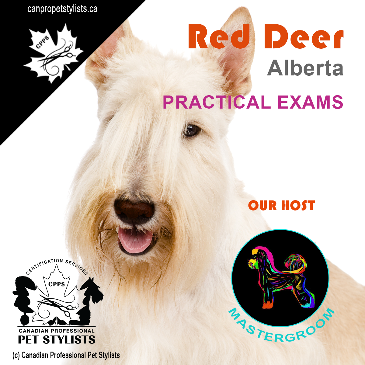 RED DEER, AB   JULY 24-26 PRACTICAL EXAMS