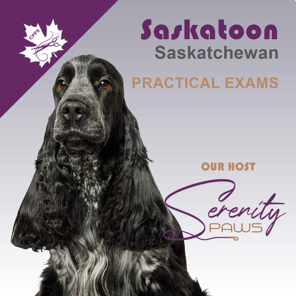 SASKATOON, SK   SEPT 6  PRACTICAL EXAMS