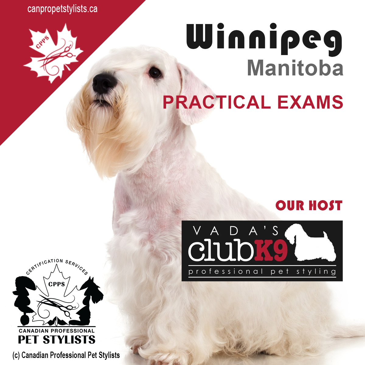 WINNIPEG, MB   MAY 24  PRACTICAL EXAMS
