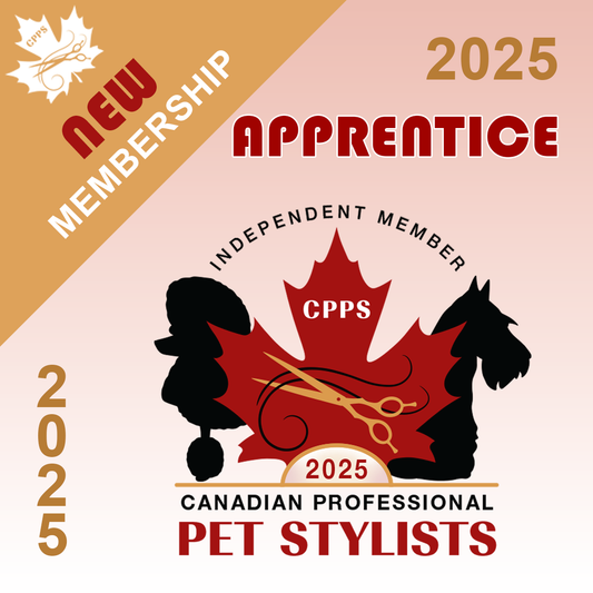 NEW Membership 2025 (Apprentice)