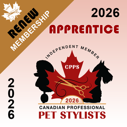 RENEWAL Membership 2026 (Apprentice)